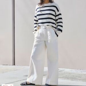 Everlane The Pleated Wide-Leg Chino Bone 4